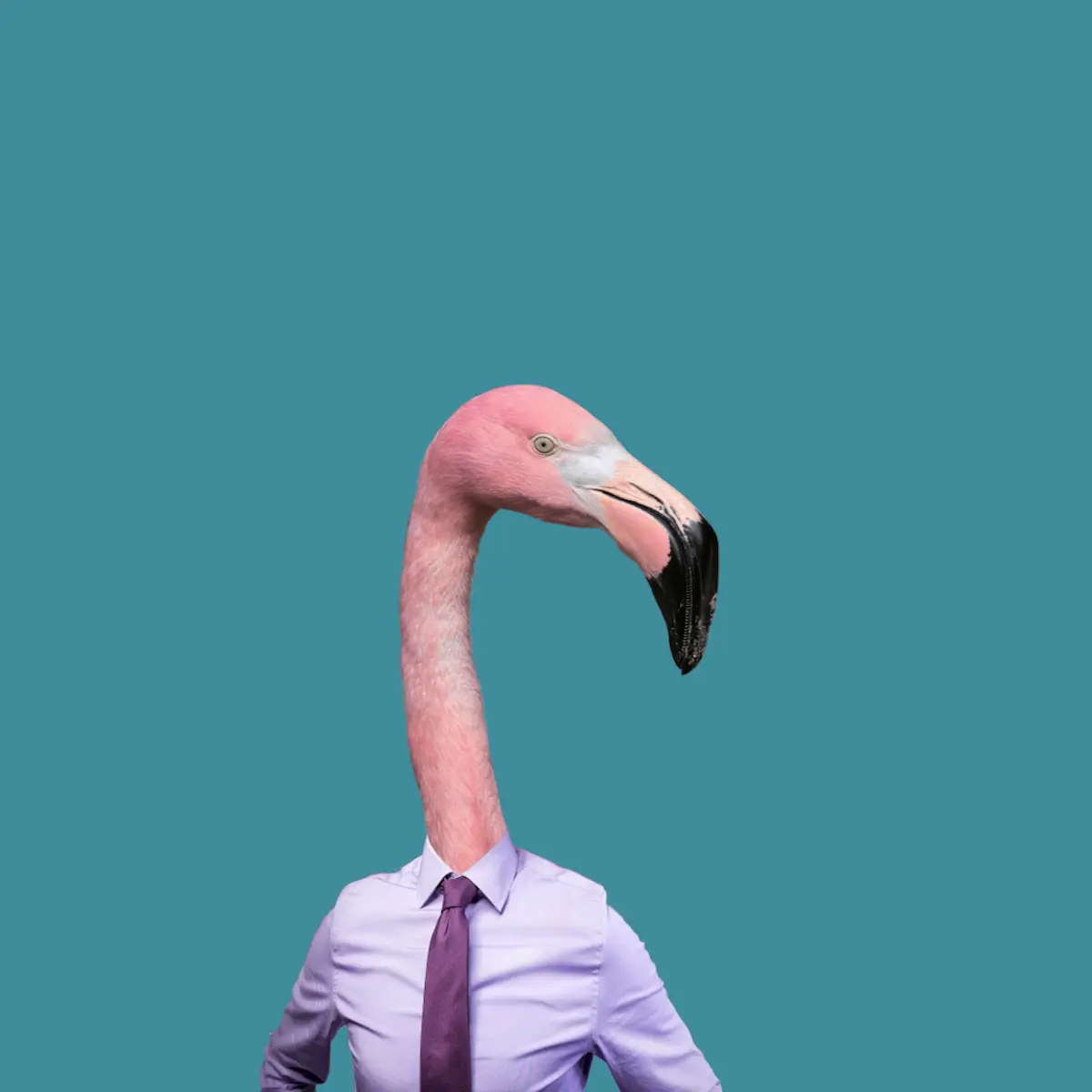 minimal graphic design flamingo man