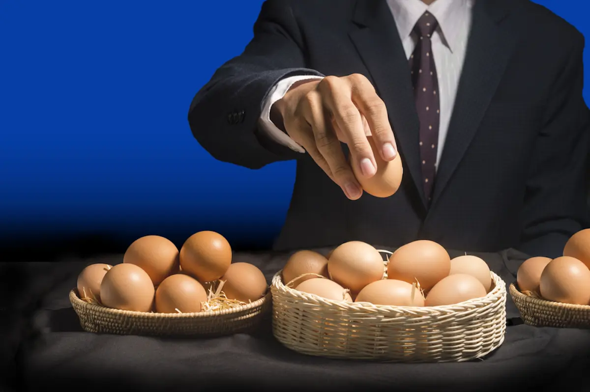 what is diversification eggs in baskets